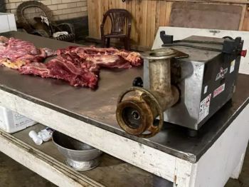 Delegado explica imagens chocantes de carne de cachorro que teriam sido achadas em SC